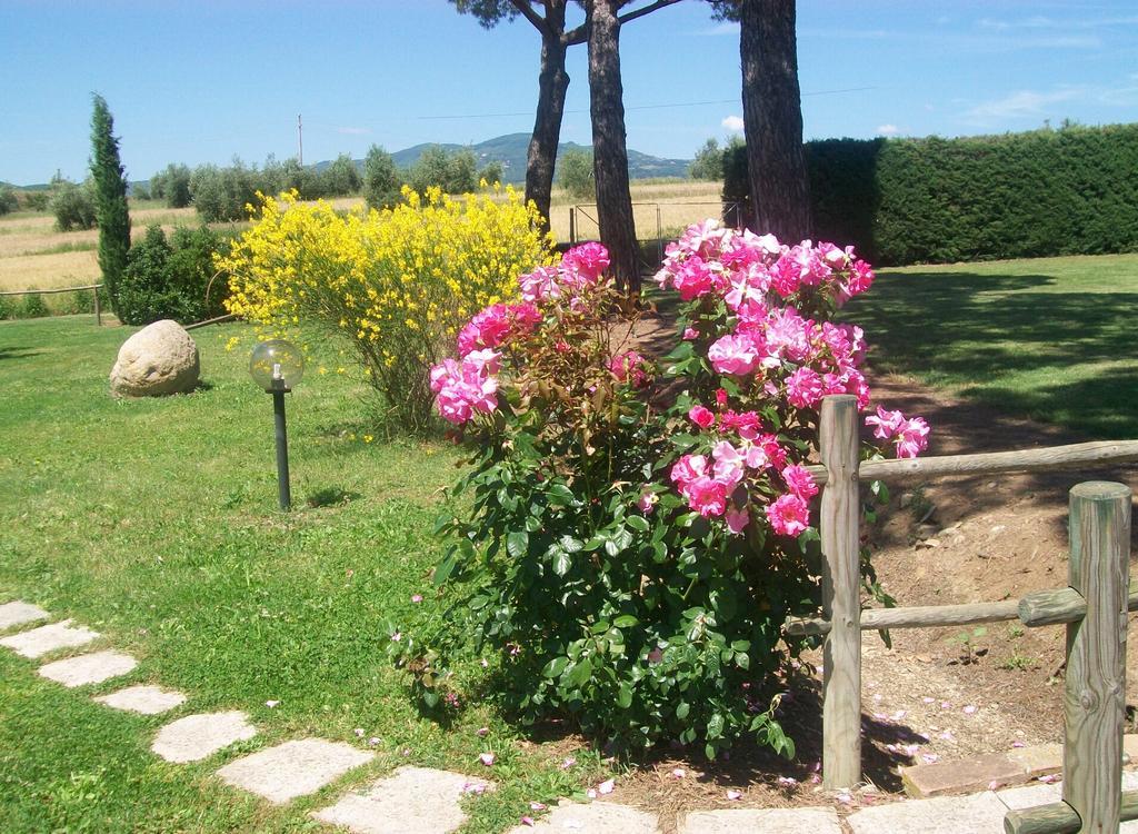 Villa Capracotta Montemassi Exterior foto